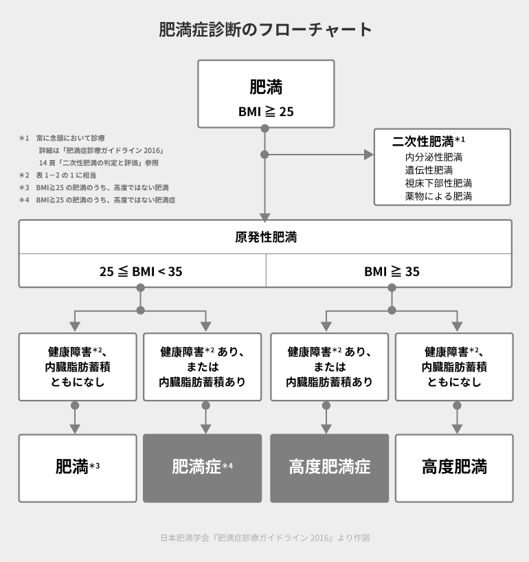 糖キング第51話 肥満症の治療薬「肥満症診断のフローチャート」　野見山崇