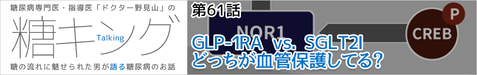 糖キング＠糖尿病専門医・指導医　野見山崇書き下ろし
